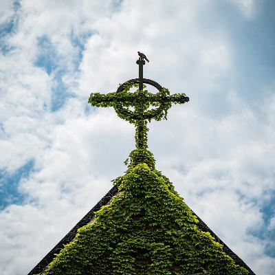 Du schöner Lebensbaum (EG 96)