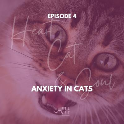 EPISODE 4: Anxiety in Cats