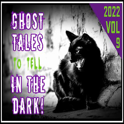 Vol 9 - Ghost Tales to Tell in The Dark - Spooky Stories of Creative Fiction or Alleged Truth - You Decide!