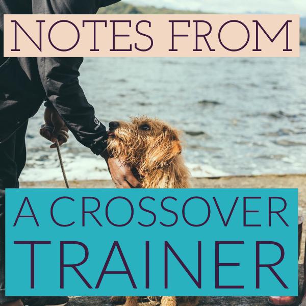 Notes from a Crossover Trainer Notes from a Crossover Trainer