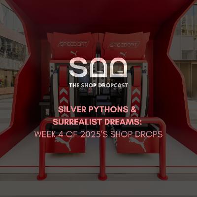 Silver Pythons and Surrealist Dreams: Week 4 of 2025’s Shop Drops