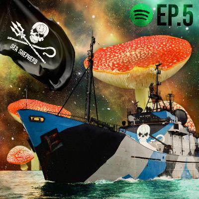 #5 Mergulhando no Seaspiracy #5 Mergulhando no Seaspiracy