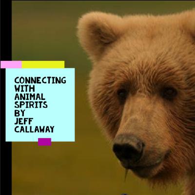 BEAR SPIRIT GUIDED SHAMANIC JOURNEY