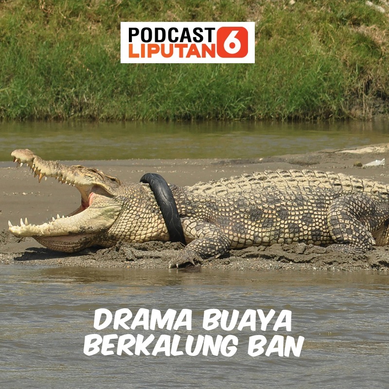 Liputan6.com