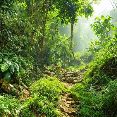How I Navigated Google's Developer Jungle