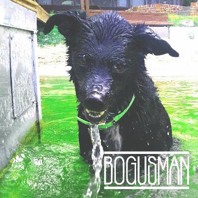 Bogusman's Self-Titled Album | On The Record