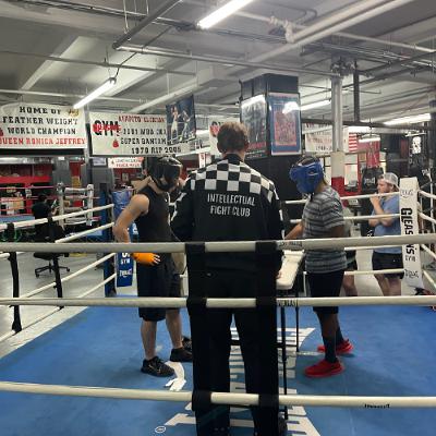 The Art of Chessboxing