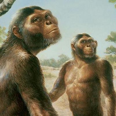 Lược sử loài người - Ep.3 - Chúng ta đã tuyệt chủng các loài người khác?