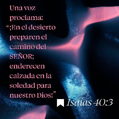 Un nuevo comienzo Un nuevo comienzo