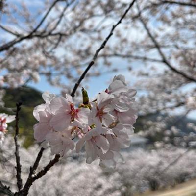 #01-③【ゲスト黒島慶子さん（最終回）】50年後、100年後の島を想像できる？