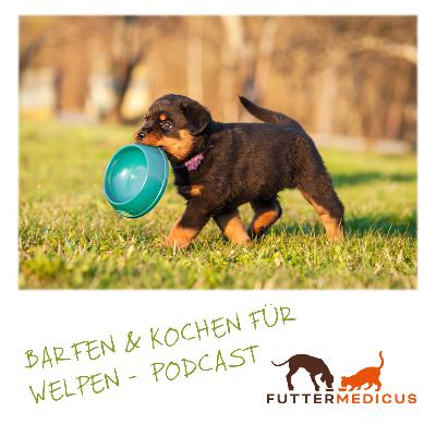 Barfen und Kochen für Welpen leichtgemacht
