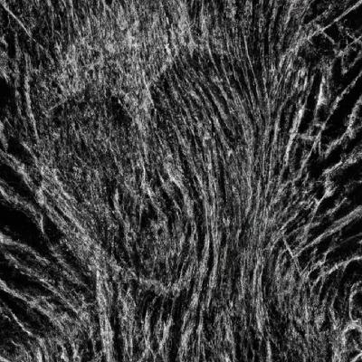 Truly Insane Duster Stories