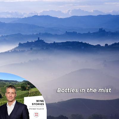 Wine Stories - S1E13 - Bottles in the mist