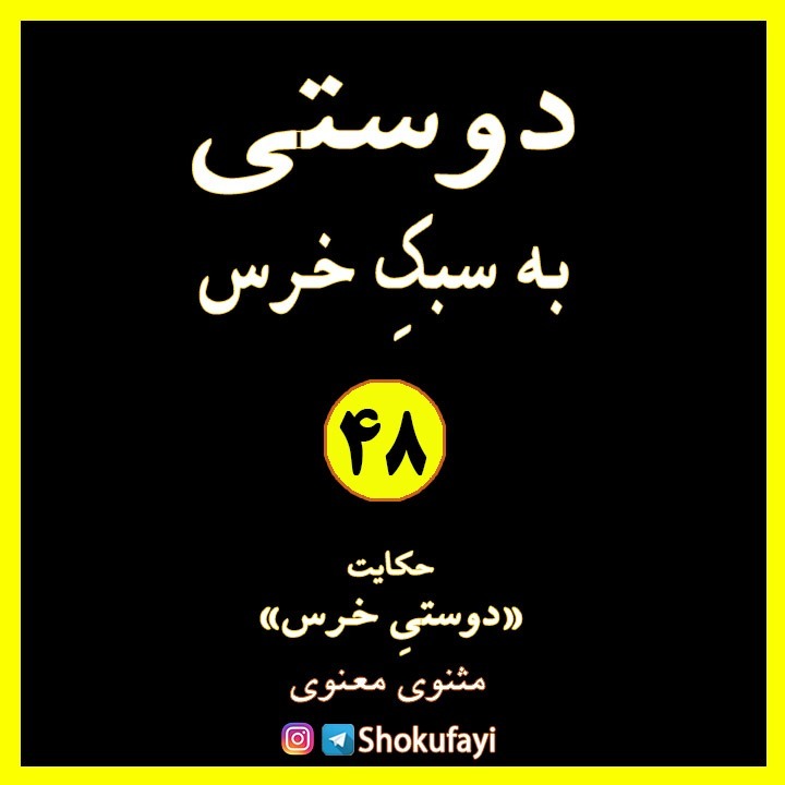 دوستی به سبک خرس