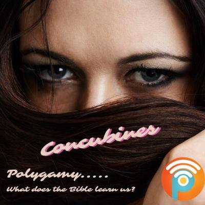 Episode 15 - Concubine. Polygamy, What does the Bible learn us?