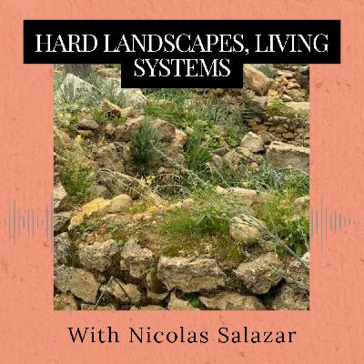 Episode 359: Hard Landscapes, Living Systems