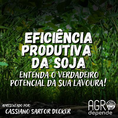 Eficiência Produtiva da Soja: Entenda o verdadeiro potencial da sua lavoura! Eficiência Produtiva da Soja: Entenda o verdadeiro potencial da sua lavoura!