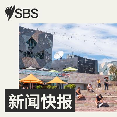 【SBS新闻快报】总理宣布启动大规模枪支回购计划