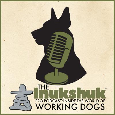 IPPC: EPISODE 8 - EXPLORING THE BULLY WORLD, WITH FW SPEILBERG and THE BABC!