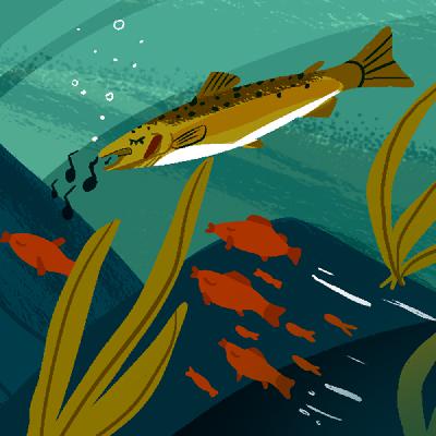Episode 3: Plenty of Fish