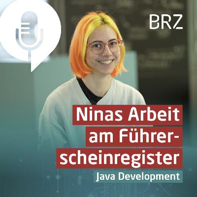 Ninas Arbeit am Führerscheinregister - Java Development im BRZ