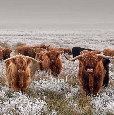 张嘉佳《我的朋友很多,可就算少一个也舍不得》 张嘉佳《我的朋友很多,可就算少一个也舍不得》