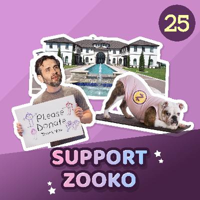 Support Zooko