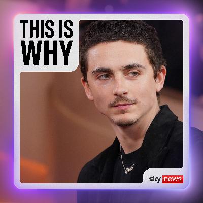 Why is Hollywood turning on Timothee Chalamet?