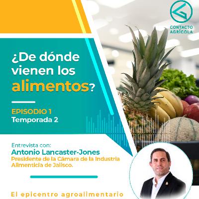 ¿De dónde vienen los alimentos?