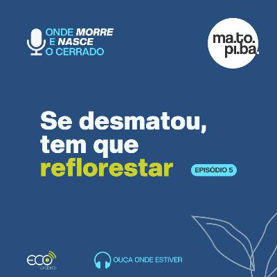 #052 - Onde morre e nasce o Cerrado | Se desmatou, tem que reflorestar