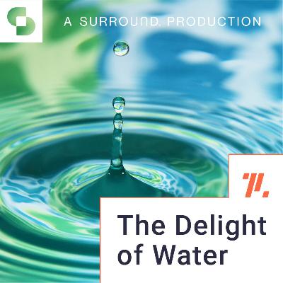The Delight of Water