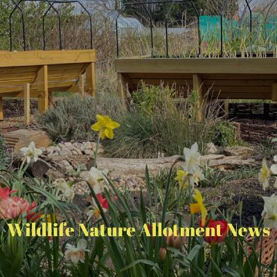 Turbine allotment, Badgers, social distancing and much more