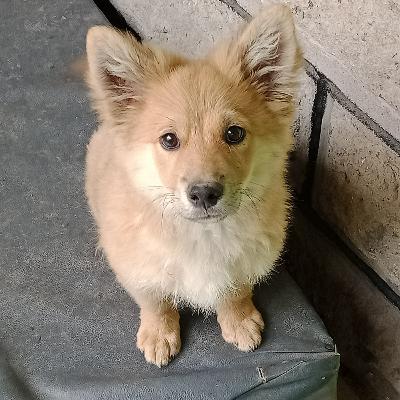 Why It's Important To Guard Your Heart Why It's Important To Guard Your Heart