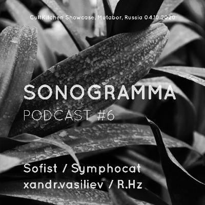 Sonogramma #6: Sofist, SymphoСat, xandr.vasiliev, R.Hz