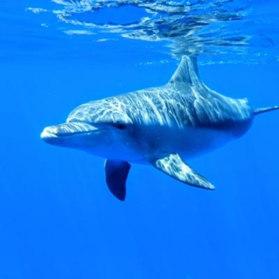 笑って笑ってニッコリと☺️生きとし生ける人間だけに与えられている「特殊な作用」