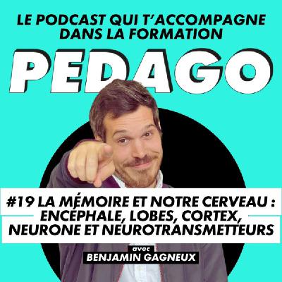 #19 La mémoire et notre cerveau : encéphale, hémisphères, lobes, cortex, neurone et neurotransmetteurs