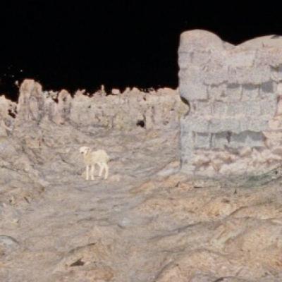 32. Entrevista a Jaime Puertas Castillo, director de «Historia de pastores» | #27FestivalMálaga