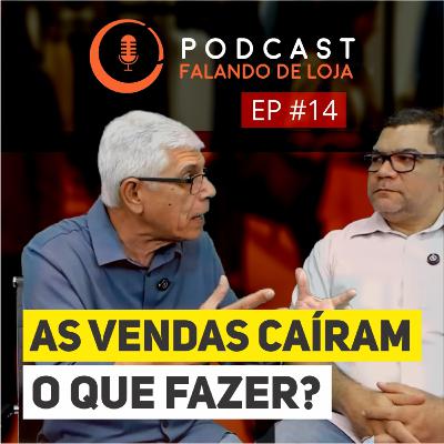As vendas caíram. O que fazer? - Podcast Falando de Loja #14 As vendas caíram. O que fazer? - Podcast Falando de Loja #14