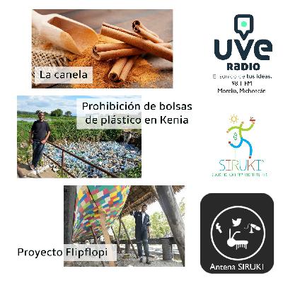 Programa 72-La Canela, Prohibición de Bolsa de Plástico en Kenia, Proyecto FlipFlopi.