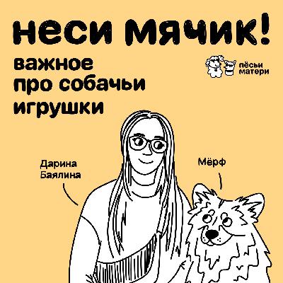 Неси мячик! Важное про собачьи игрушки