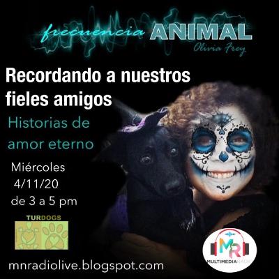 FRECUENCIA ANIMAL 24 CON OLIVIA FREY, HISTORIAS DE AMOR ETERNO, RECORDANDO A LOS QUE YA PARTIERON