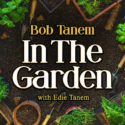 Bob Tanem In The Garden with Edie Tanem, December 21 2025, 9:00 am