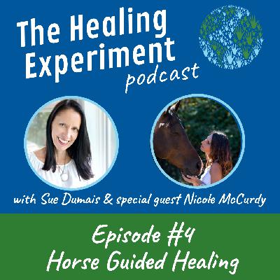 Ep. 4: Horse Guided Healing with Nicole McCurdy Ep. 4: Horse Guided Healing with Nicole McCurdy