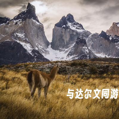 225 |南美| 与达尔文同游巴塔哥尼亚-大风、船长、四个原住民和一场实验 225 |南美| 与达尔文同游巴塔哥尼亚-大风、船长、四个原住民和一场实验