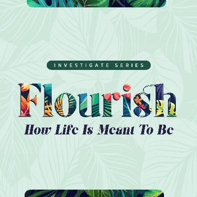 Flourishing In Our Friendships | Investigate 2025 | Rev Joey Asher Tan