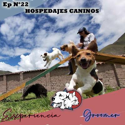 Episodio N°22 | Hospedajes Caninos