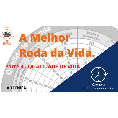 Técnica da MELHOR Roda da Vida - Qualidade de Vida - parte 4