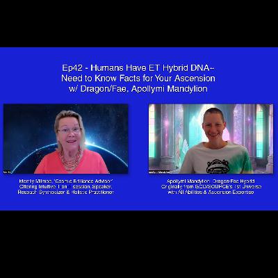 EP 43 - Dragon Types, Elven Dragon Riders, & 1-on-1 Battle:  Xenomorph Dragon vs Dragon SS, Apollymi