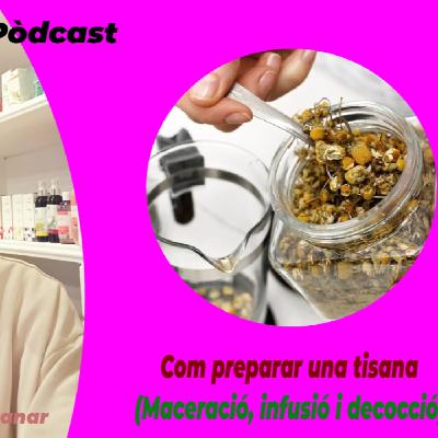 Cómo preparar una Tisana (Infusión-Decocción-Maceración) con la dietista Eva Quintanar