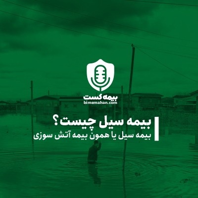بیمه سیل چیست؟ | فروشگاه آنلاین بیمه ماهان
